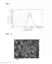 Fig. 05 - Phosphor and light-emitting device including the same