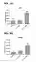 Fig. 35 - METHOD FOR PRODUCING RETINAL PIGMENT EPITHELIAL CELLS