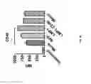 Fig. 07 - Methods for inducing migration by dendritic cells and an immune response