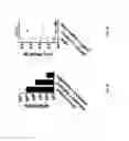 Fig. 14 - Methods for inducing migration by dendritic cells and an immune response
