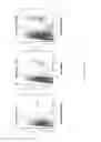 Fig. 16 - Methods for inducing migration by dendritic cells and an immune response