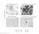 Fig. 16 - Adjuvant for rapid proliferation of human mesenchymal stem cells in vitro, method for rapid proliferation of human mesenchymal stem cells in vitro, method for growth factor harvested from rapid proliferation of human mesenchymal stem cells in vitro and use thereof