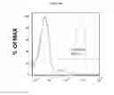 Fig. 06 - Method for preparing endocrine aggregate of insulin-producing beta cells from human pluripotent stem cells