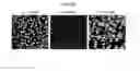 Fig. 07 - Method for preparing endocrine aggregate of insulin-producing beta cells from human pluripotent stem cells