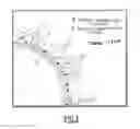 Fig. 02 - Method for transfection of nucleic acids into eukaryotic cells in 3D scaffold