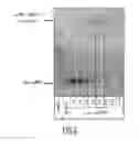 Fig. 03 - Method for transfection of nucleic acids into eukaryotic cells in 3D scaffold
