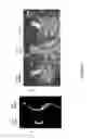 Fig. 18 - Plant drought tolerance and nitrogen use efficiency by reducing plant sensitivity to ethylene