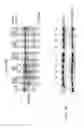 Fig. 22 - Engineered cleavage half-domains
