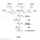 Fig. 02 - Method of production of 2,4-dihydroxybutyric acid