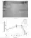 Fig. 08 - Stable, functional chimeric cellobiohydrolase class I enzymes