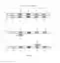 Fig. 04 - Methods and reagents for amplifying nucleic acids