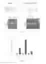 Fig. 08 - METHODS AND COMPOSITIONS RELATED TO THE SMCHD1 GENE
