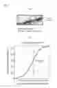 Fig. 02 - High-strength hot-rolled steel sheet and method for producing the same