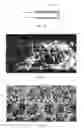 Fig. 09 - OXYGEN SENSOR HAVING POROUS CERAMIC COATING LAYER FORMED THEREON AND METHOD FOR FORMING POROUS CERAMIC COATING LAYER