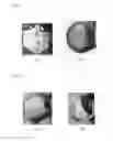 Fig. 09 - Method for growing silicon carbide crystal