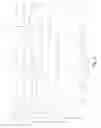 Fig. 09 - Skid steer loader lift linkage assembly