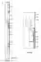 Fig. 02 - Internally degradable plugs for downhole use