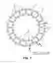 Fig. 07 - Segmented composite bearings and wind generator utilizing hydraulic pump/motor combination
