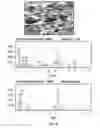 Fig. 04 - Friction material and methods of making and using the same