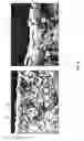 Fig. 07 - Friction material and methods of making and using the same