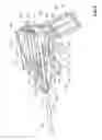 Fig. 04 - TOY PROJECTILE LAUNCHER AND PROJECTILE THEREOF