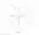Fig. 06 - AIR GUN PELLET