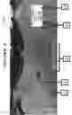 Fig. 07 - RENDERING OF UTILITIES, VALVES, INFORMATION AND UTILITY ASSETS INTO 360 DEGREE INTERACTIVE PHOTOGRAPHY