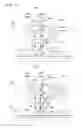 Fig. 05 - Measurement method and encoder device, and exposure method and device