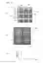 Fig. 12 - Method and device for measuring wavefront using light-exit section causing light amount distribution in at least one direction