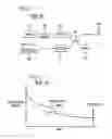 Fig. 02 - Method and apparatus for acoustic sensing using multiple optical pulses