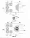 Fig. 06 - Method and system for optical measurements of contained liquids having a free surface