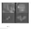 Fig. 03 - Wavelength selective SERS nanotags