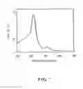Fig. 08 - ELECTRODE FOR SUPEROXIDE ANION AND SENSOR INCLUDING THE SAME