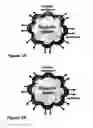 Fig. 02 - Nucleic acid aptamer-based diagnostic methods with novel techniques for signal enhancement