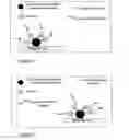 Fig. 07 - Nucleic acid aptamer-based diagnostic methods with novel techniques for signal enhancement