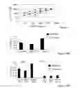 Fig. 09 - Nucleic acid aptamer-based diagnostic methods with novel techniques for signal enhancement