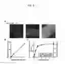 Fig. 08 - Methods to identify modulators of RyR calcium channels