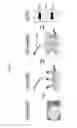Fig. 02 - Glycan arrays for high throughput screening of viruses
