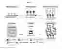 Fig. 04 - Glycan arrays for high throughput screening of viruses