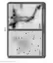 Fig. 06 - Glycan arrays for high throughput screening of viruses