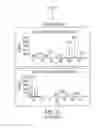 Fig. 09 - Identification and quantification of intact glycopeptides in complex samples