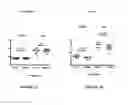 Fig. 02 - Methods For Determining Anti-TNF Therapeutic Response