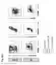 Fig. 09 - Compositions of cardiomyocyte subpopulations