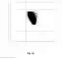 Fig. 13 - Method for determining volume and hemoglobin content of individual red blood cells