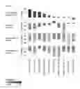 Fig. 02 - Sensitive Efficacy and Specificity Biomarkers for Proprotein Convertase Subtilisin/Kexin Type 9 (PCSK9) Inhibition
