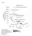 Fig. 06 - Sensitive Efficacy and Specificity Biomarkers for Proprotein Convertase Subtilisin/Kexin Type 9 (PCSK9) Inhibition