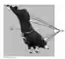 Fig. 01 - MOTION MEASUREMENT SYSTEMS AND METHODS FOR USE IN RODEO COMPETITIONS AND RELATED ACTIVITIES