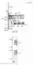 Fig. 07 - LAND SEISMIC SENSOR DEPLOYMENT