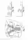 Fig. 09 - OPTICAL BODY WITH FRESNEL-RENDERING OF COMPLEX TOPOGRAPHICAL SURFACE