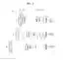 Fig. 08 - Zoom lens and electronic apparatus having the same